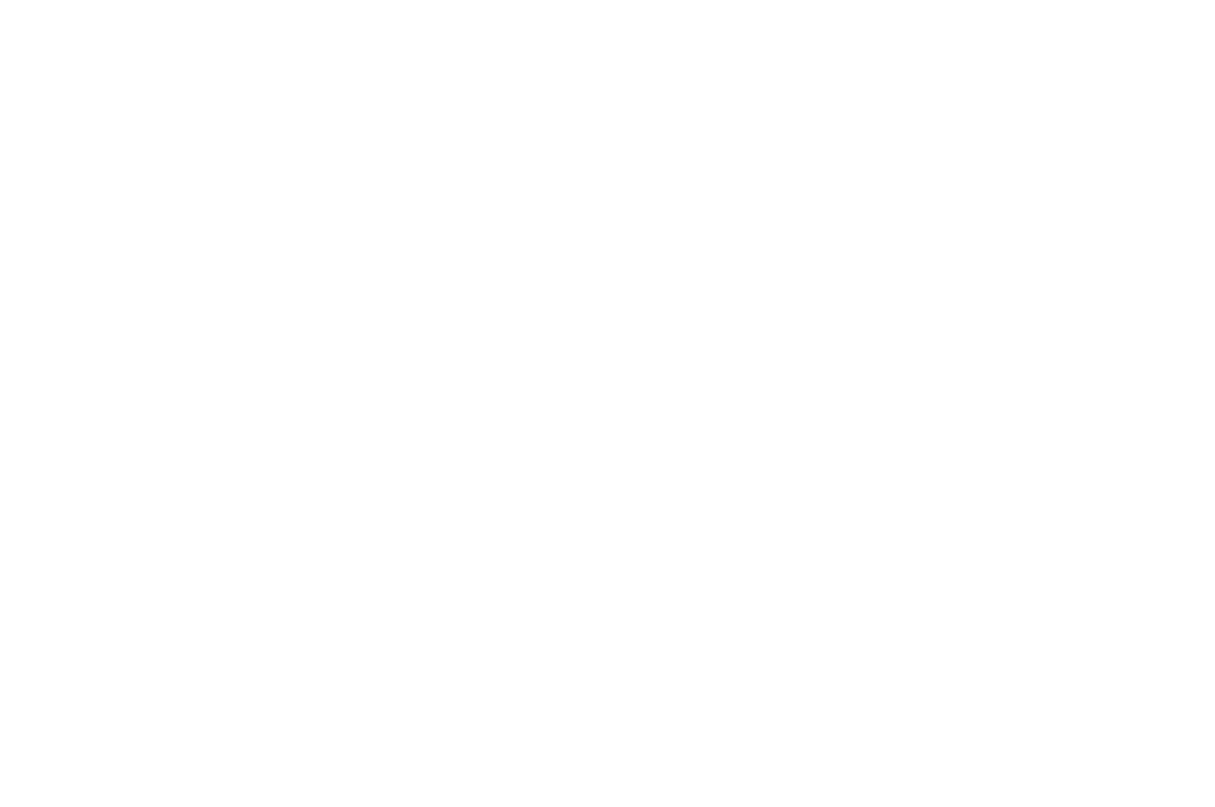 OFFICIAL SELECTION - Best Director Award - 2020.png