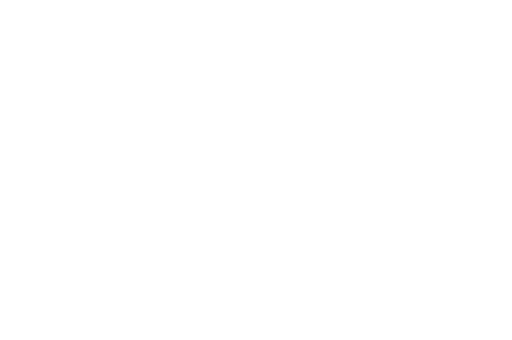 OFFICIAL SELECTION - Flickers Rhode Island International Film Festival - 2020.png