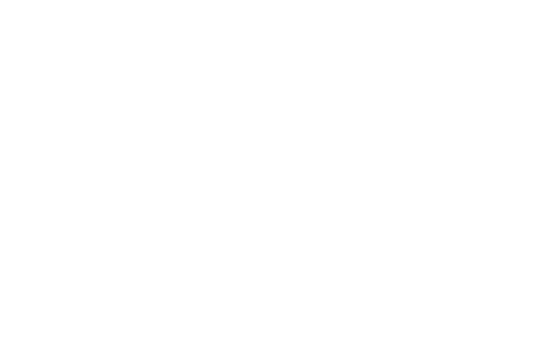 OFFICIAL SELECTION - Montreal Independent Film Festival - 2020 (1).png
